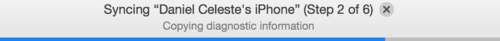 iTunes Sync