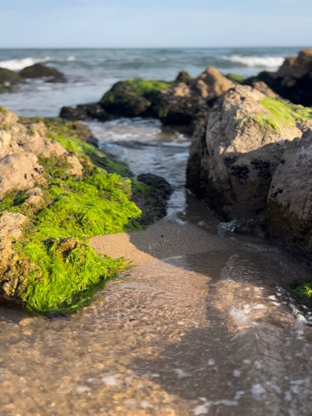 20230212 – Punta del Este – Story